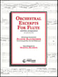 ORCHESTRAL EXCERPTS FOR FLUTE cover